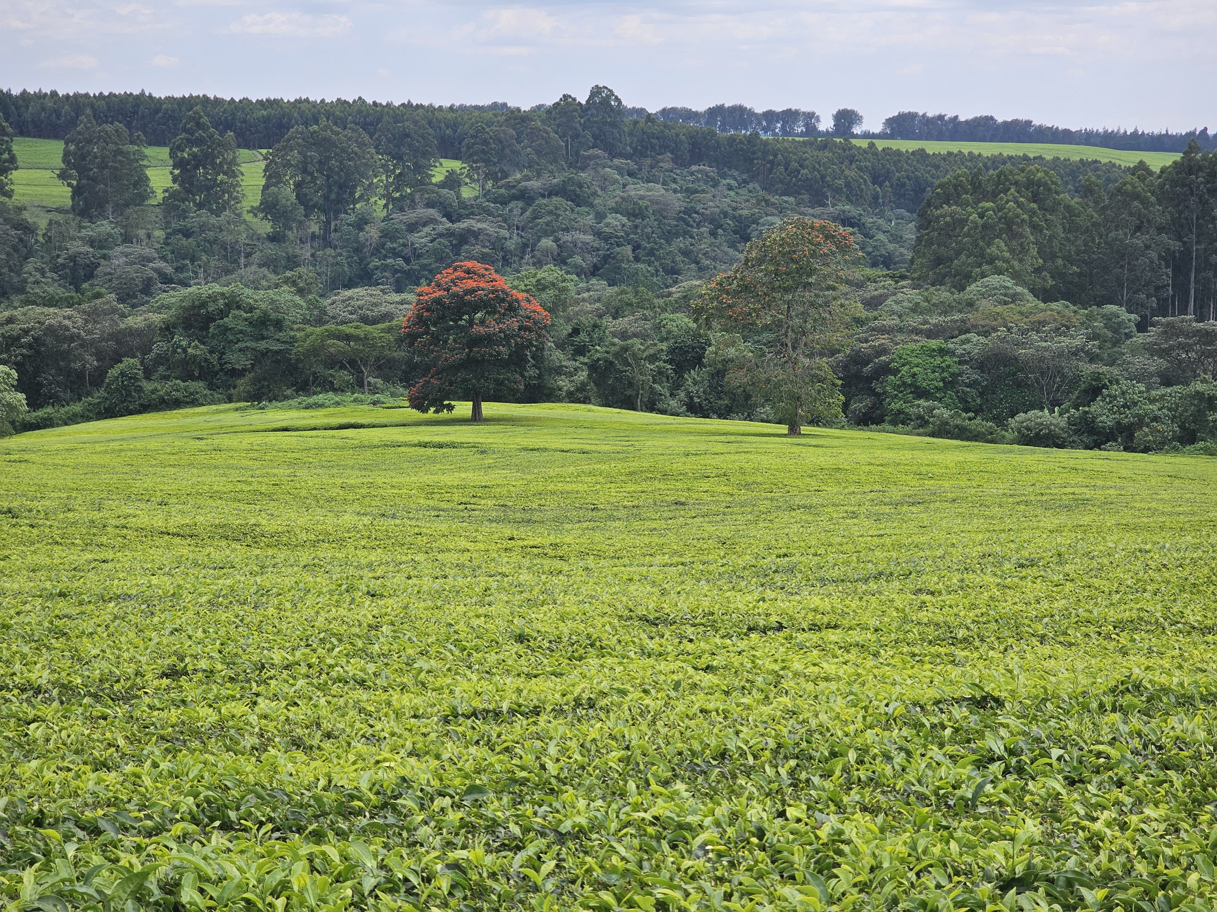 Insurance Assessment — Meru